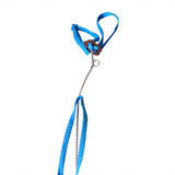 Nylon Small Pet Harness and Leash