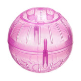 Hamster Exercise Ball