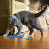 Wiggly Ball Cat Toy