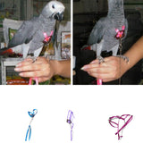 Nylon Small Pet Harness and Leash