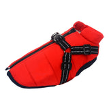 Winter Dog Jacket  With Harness