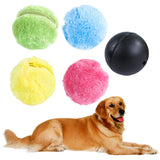 5pcs Battery Powered Magic Roller Toy Balls