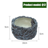 Reptile Feeder Bowl