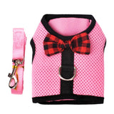 Small Pet Harness Vest Leash Set