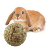 6cm Natural Grass Ball Chew Toy