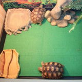 Terrarium Bedding Substrate Liner