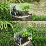 Terrarium Tank