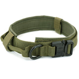 Dog Training Collar or Collar and Leash Set