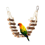 Colorful Acrylic Bird Bridge