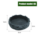 Reptile Feeder Bowl