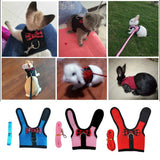 Pet Mesh Soft Harness With Leash