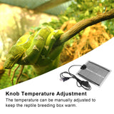 Terrarium Warmer