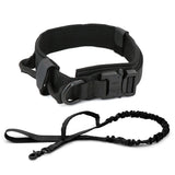 Dog Training Collar or Collar and Leash Set