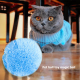 5pcs Battery Powered Magic Roller Toy Balls
