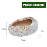 Reptile Feeder Bowl
