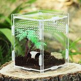 Terrarium Tank