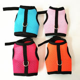 Rabbit Soft Mesh Harness With Leash