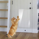 300*15cm Transparent Anti-Scratch Tape