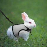 Rabbit Soft Mesh Harness With Leash
