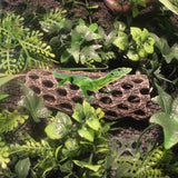 Reptile Shelter Pile Bark Climbing Box