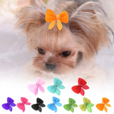 Pet Hair Clips
