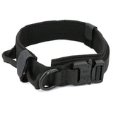 Dog Training Collar or Collar and Leash Set