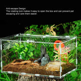 Transparent Acrylic Terrarium