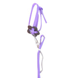 Nylon Small Pet Harness and Leash