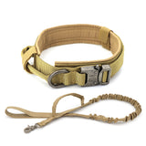 Dog Training Collar or Collar and Leash Set