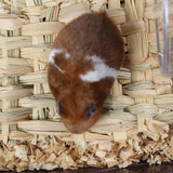 Grass Chew Mat Cage Accessories