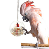 Bird Toys