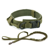 Dog Training Collar or Collar and Leash Set