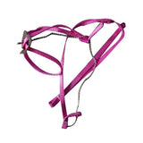 Nylon Small Pet Harness and Leash