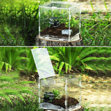 Terrarium Tank