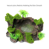 Reptile Feeder Bowl