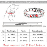Personalized Durable Leather Dog Collar