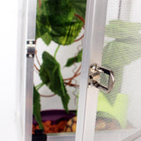 Transparent Acrylic Terrarium