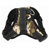 Heavy Duty Dog Harness