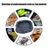 Reptile Feeder Bowl