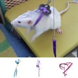 Nylon Small Pet Harness and Leash
