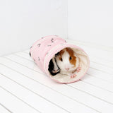 Small Pet Tunnel