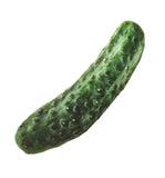 Squeaky Dog or Cat Toys