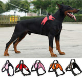 Heavy Duty Dog Harness
