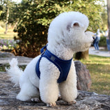 Reflective Dog Harness With Leash