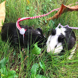 Adjustable Small Pet Leash Harness