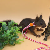 Adjustable Small Pet Leash Harness