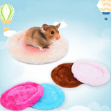 Small Pet Velvet Sleep Mat