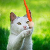 Wiggly Ball Cat Toy