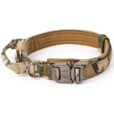 Dog Training Collar or Collar and Leash Set