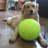 Giant Pet Tennis Ball